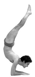 meditation and yoga