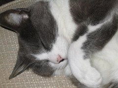 meditation-sleep meditation for sleep